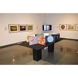 Exhibition View