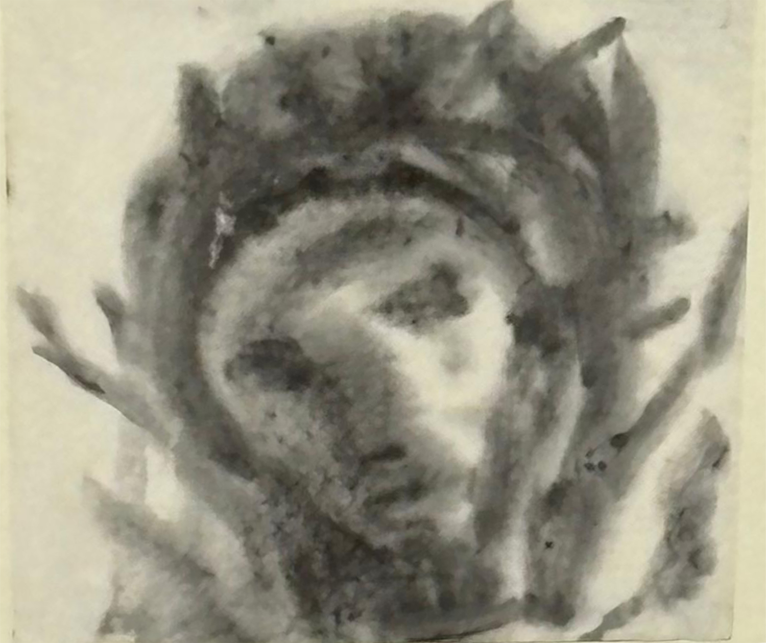 Crown of Thorns
